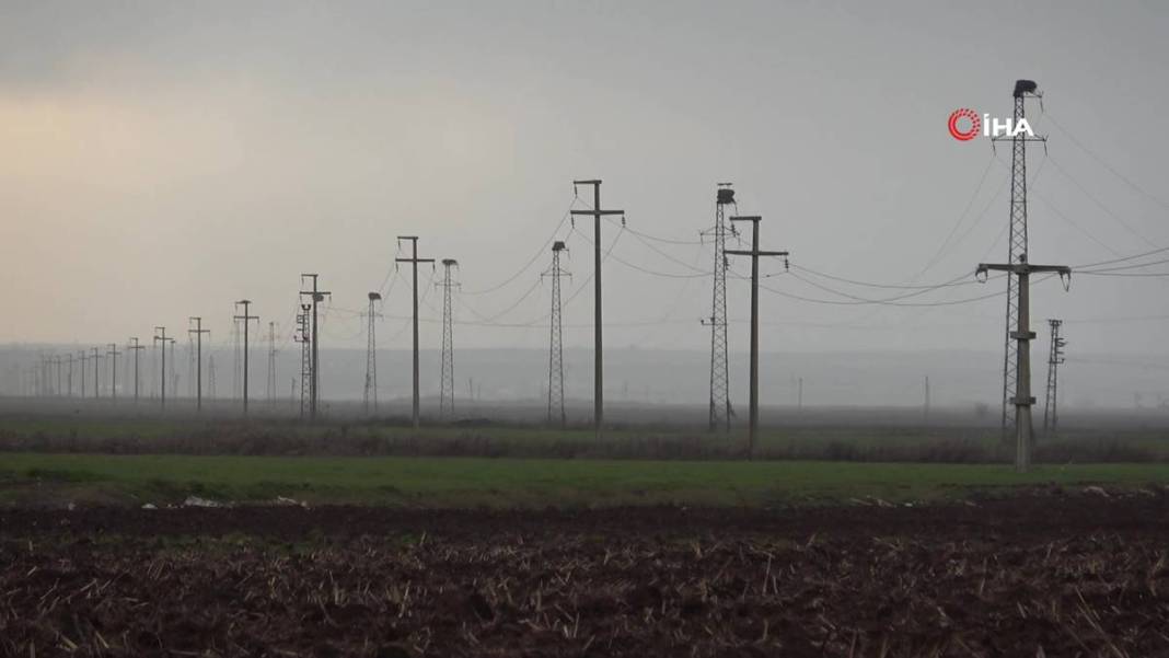 O kentte yüksek gerilim hattı direklerinde şoke eden görüntüler! 5 bin kilometre yoldan geldiler 18